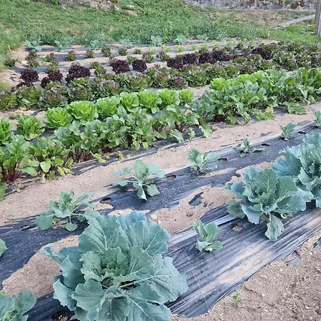 Del Ampollino Caprara (Crotone)