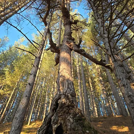 Del Ampollino 3* Caprara (Crotone)