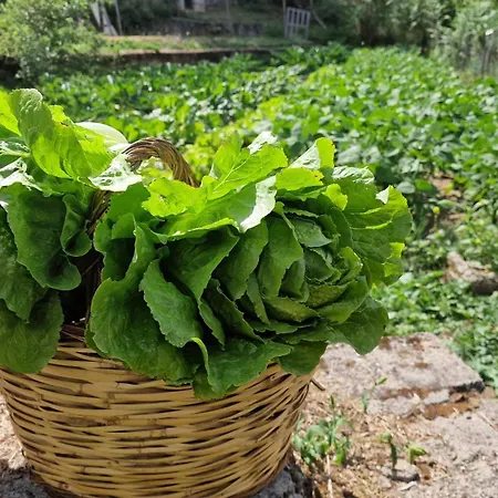 Del Ampollino 3* Caprara (Crotone)