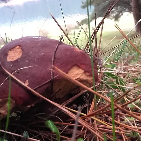 Hotel Del Ampollino 3*