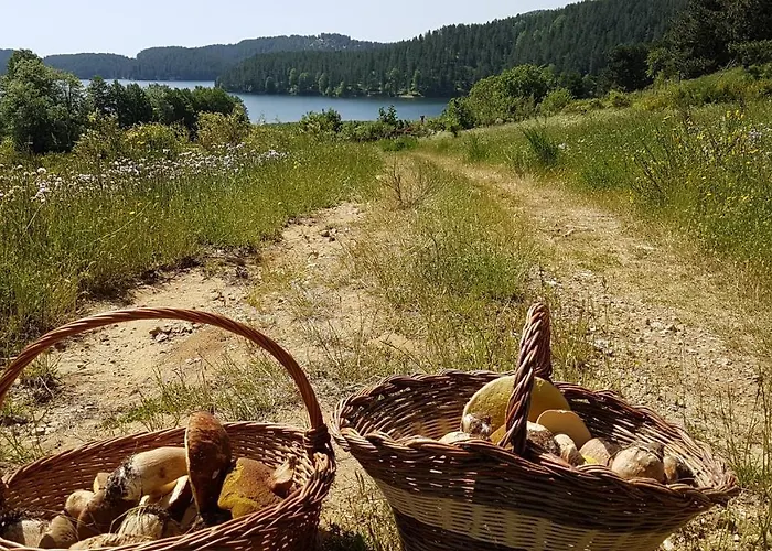 酒店 Del Ampollino Caprara (Crotone)