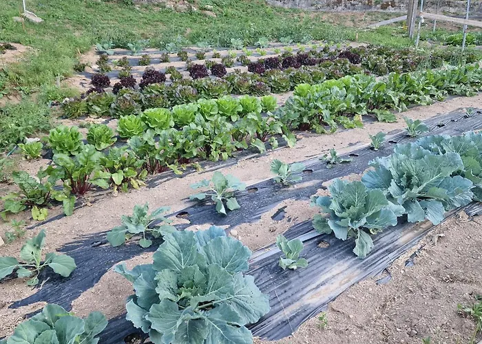 Del Ampollino Caprara (Crotone)