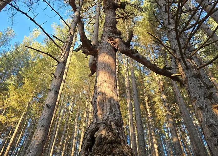 Del Ampollino 3* Caprara (Crotone)