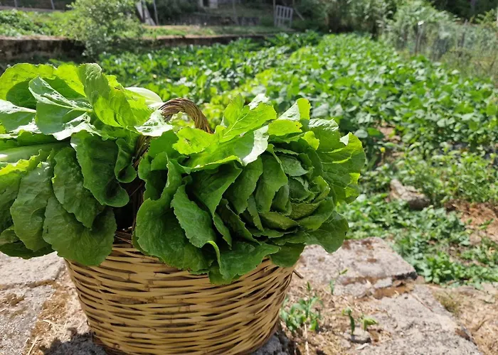 Del Ampollino 3* Caprara (Crotone)